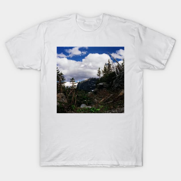 Logan's Pass, Glacier N.P., Montana T-Shirt by rodneyj46